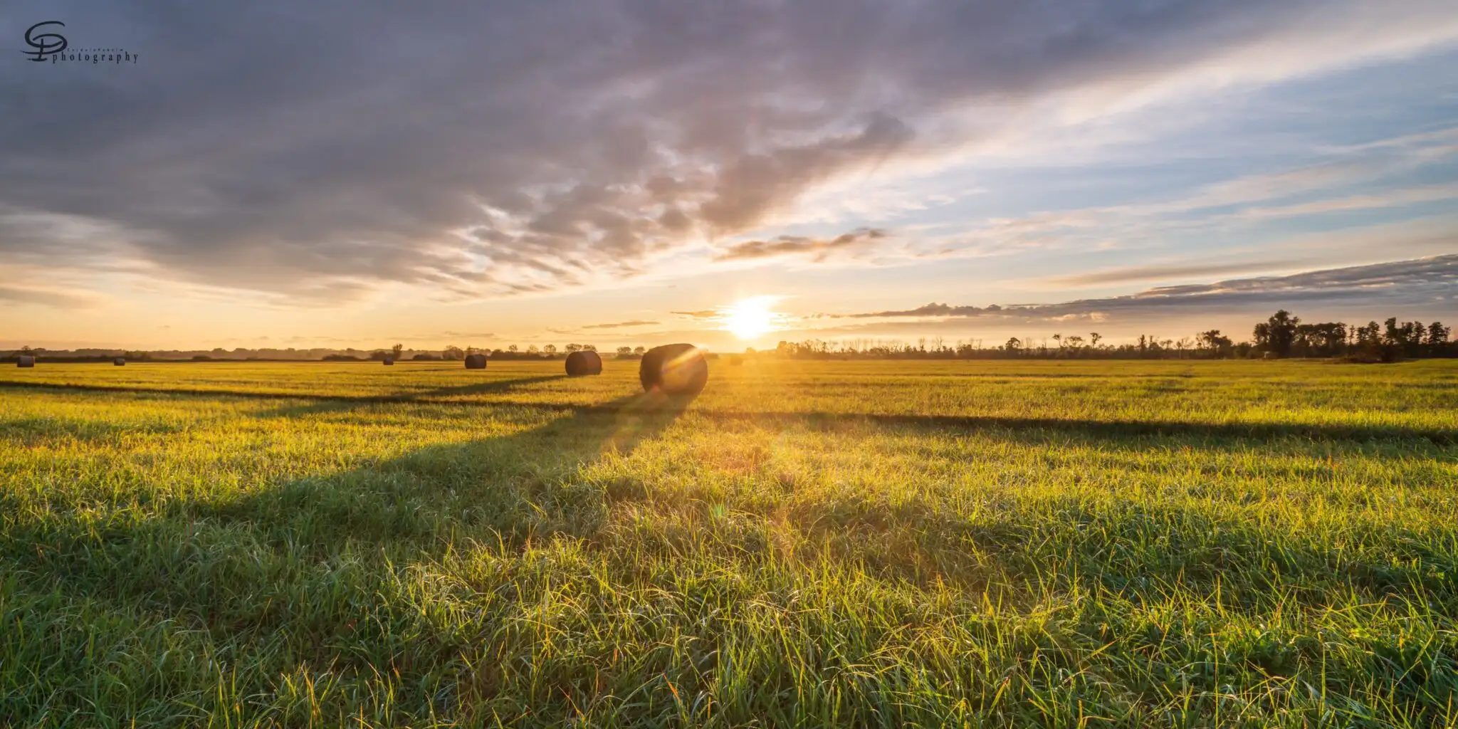Sonnenuntergang über einem Feld