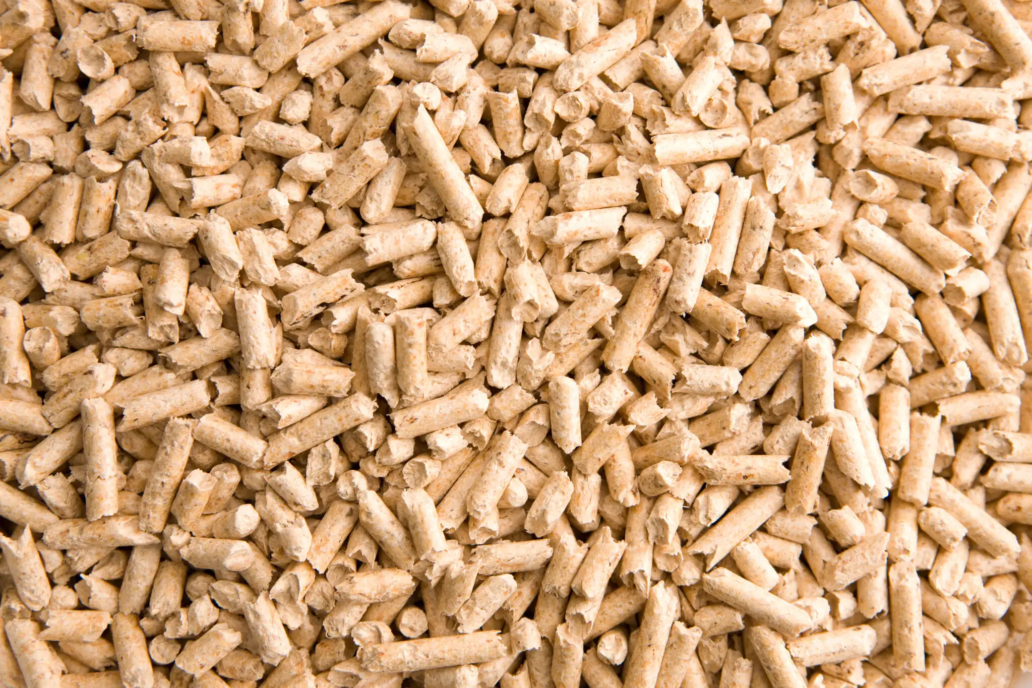 Nahaufnahme von Pellets