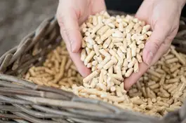 Zwei Hände, die in einen Korb mit Pellets greifen