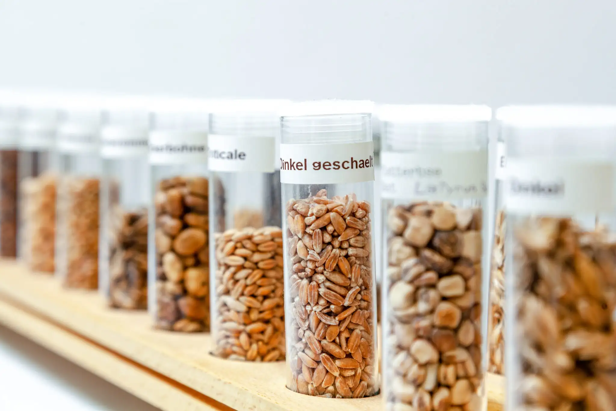 Viele Röhrchen mit unterschiedlichem Getreide